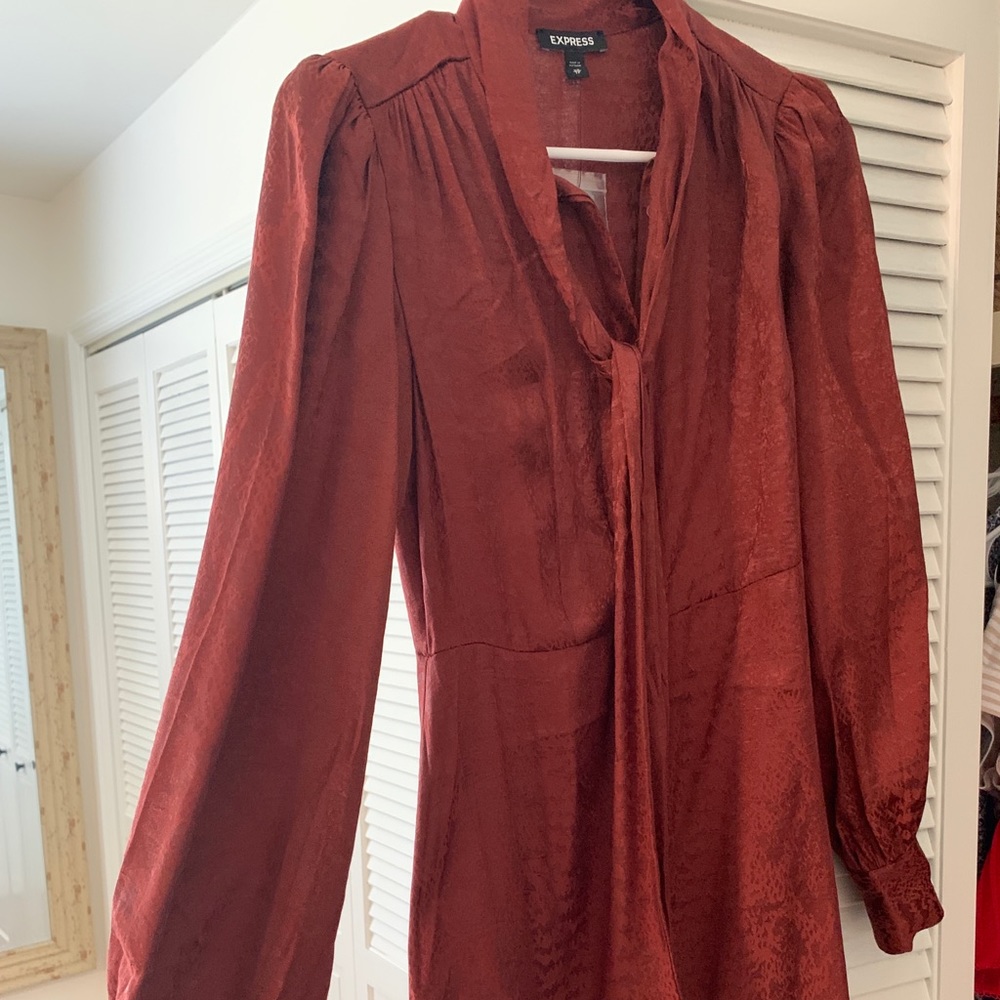 Express Dress XS
